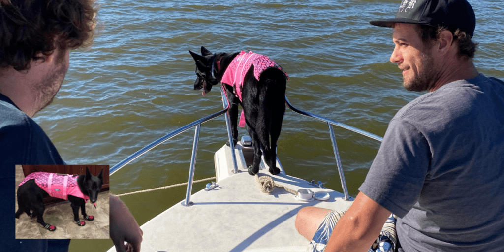 Boat Shoes for Dogs Unlock Nautical Adventure for Your Fun Loving Fur
