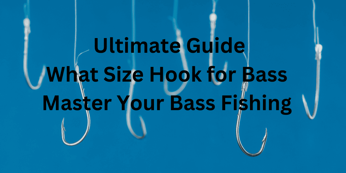 Ultimate Guide What Size Hook for Bass? Master Your Bass Fishing The